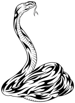 Snake Tattoo 库存插图
