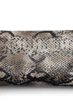 Snake texture Foto stock