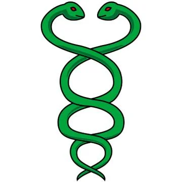 Snake Twins Illustrazione stock