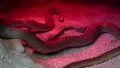 Snake under red light in terrarium HD Footage