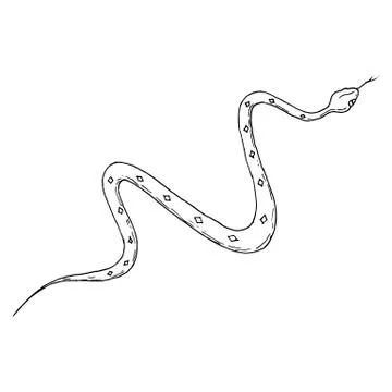 Snake. Vector illustration. Isolated object on white. Hand-drawn style. Stock Illustration