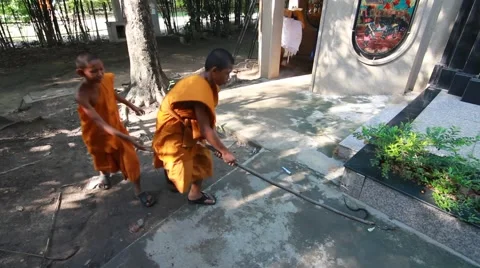 The snake was captured Stock Footage 51149952