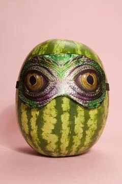 Snake watermelon Stock Photos
