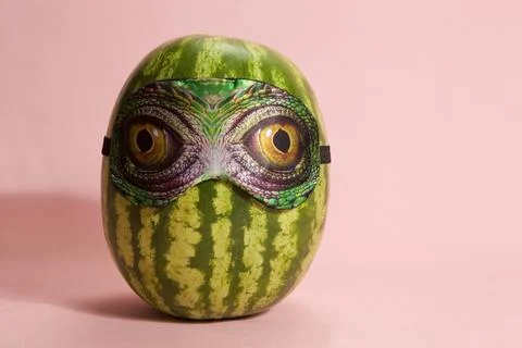 Snake watermelon Stock Photos