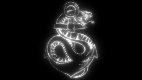 Snake in white line on black background Stock Footage 276229367