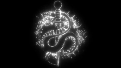Snake in white line on black background Stock Footage 276271038