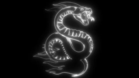 Snake in white line on black background Stock Footage 276313569