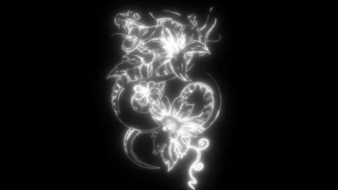 Snake in white line on black background Stock Footage 276316033