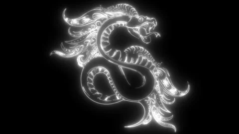 Snake in white line on black background Stock Footage 276317512