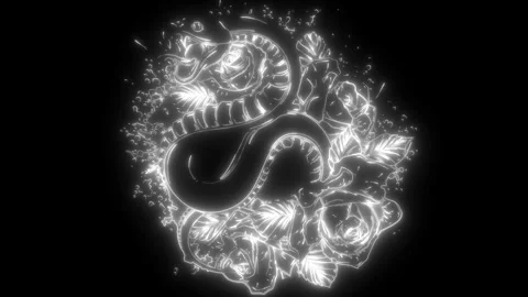 Snake in white line on black background Stock Footage 276358693