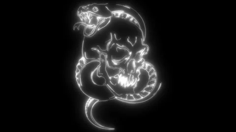 Snake in white line on black background Stock Footage 276362066