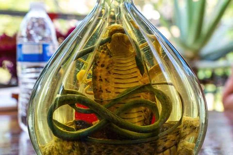Snake Wine Stock Photos