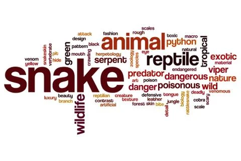 Snake word cloud イラスト素材