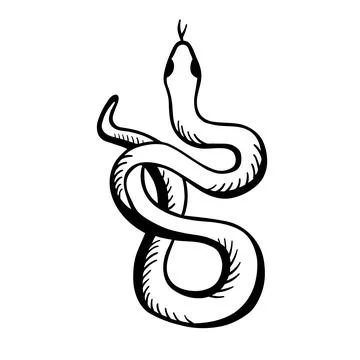 Snake is wrigging. Black and white vector illustration hand drawn. Classic image Stock Illustration