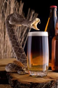 Snakebite cocktail Stock Photos