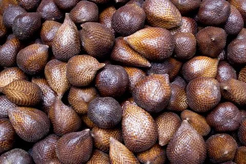 Snakefruit from asian Stock Photos