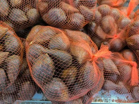 Snakefruit Stock Photos