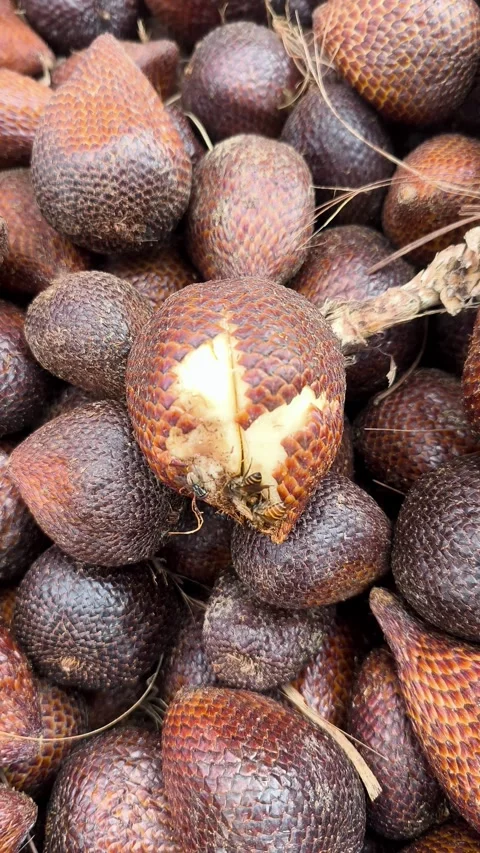 Snakefruits Видео 334822712