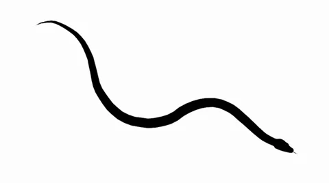 Snake&amp;jungle carpet python crawling swimming sketch silhouette. Stock Footage 38285531