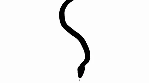 Snake&amp;jungle carpet python slide crawling sketch silhouette,sliding decorative. Stock Footage 38285534