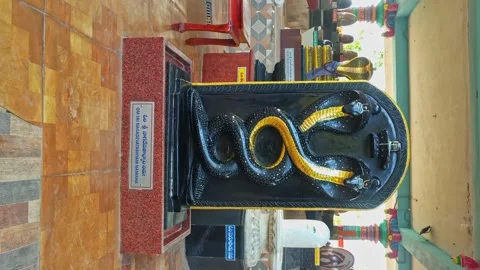 Snakes art on stone 4k vertical short Stock Footage 280590951
