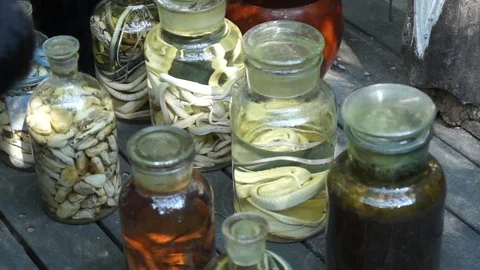 Snakes in a glass jar in formalin solution Stock Footage 103501283