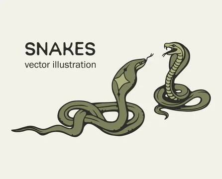 Snakes hand drawing 스톡 일러스트