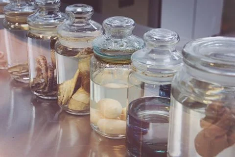 Snakes in a science lab Foto stock