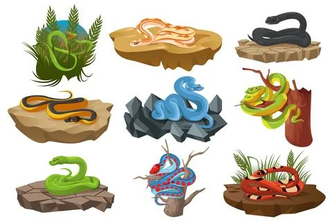 Snakes, serpents, python, black mamba Stock Illustration