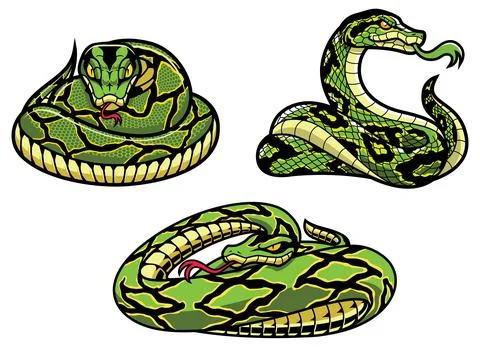 Snakes On White Illustration