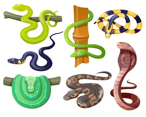 Snakes, wild tropical serpents, python and cobra Stock Illustration