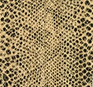 Snakeskin as background Illustrazione stock