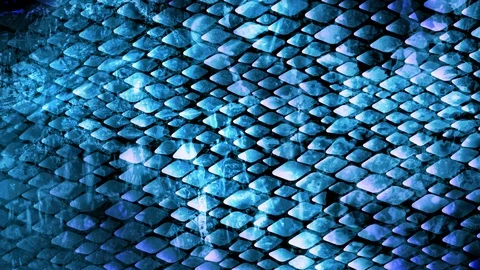 Snakeskin pattern blue colors. Stock Footage 101336161