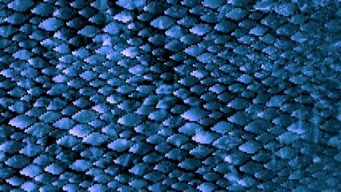 Snakeskin pattern with pixel texture Stock Footage 101336173