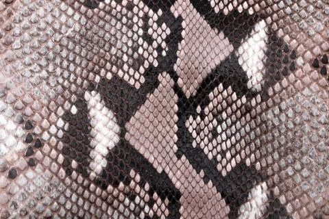 Snakeskin texture pattern, natural python leather. Photos