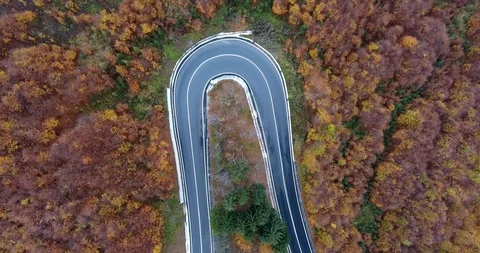 Snaking road in fall colors Stock Footage 97738972