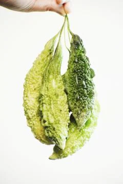 Snap of Bitter guard Stock Photos