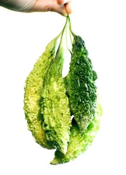 Snap of Bitter guard Stock Photos