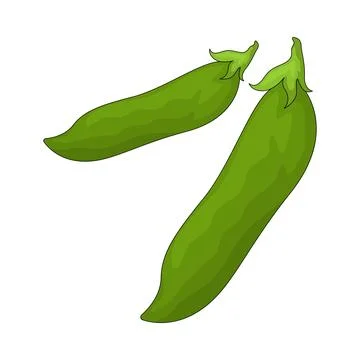 Snap peas illustration Stock Illustration