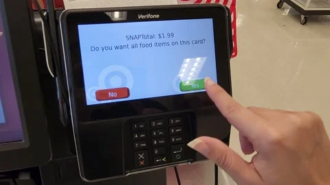 SNAP Total Pinpad Stock Footage 205930438