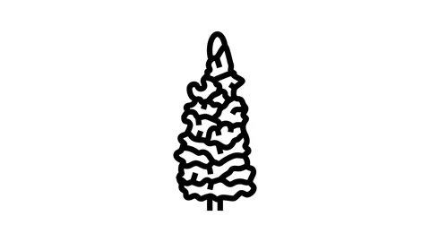 Snapdragon blossom spring line icon animation Stock Footage 326135400
