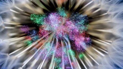 Snapdragon flower with moving light effects Stock Footage 159169320