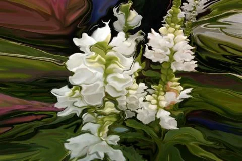 Snapdragons Stock Illustration