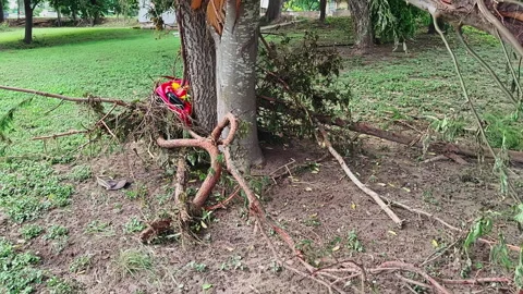 Snapped Tree, Deflated Tube &amp; Cap After Guadalupe River Flood, Kerrville 2025 Stock Footage 312695831