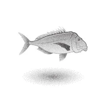 Snapper fish with stipple effect in black and white Illustrazione stock
