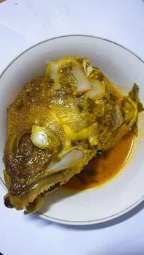 Snapper Head 스톡 사진