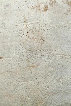 Snapping turtle carapace texture Stock Photos