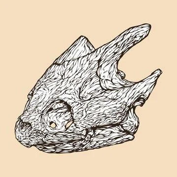 Snapping turtle skull head vector illustration Stock Illustration