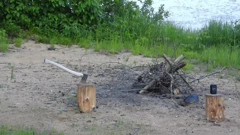 Snapping Turtle Walks Past Firepit, Second Turtle Visible Behind Video stock 325633521