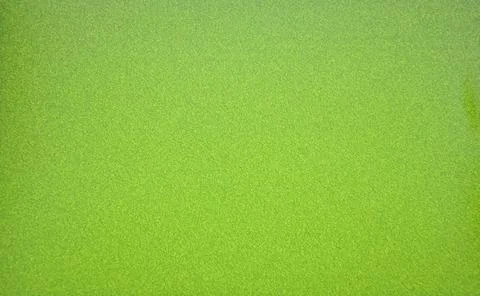 A snapshot of a monchromic surface of a bright light green color with golden Stock Photos